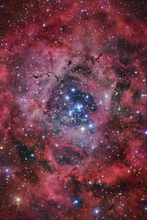 Filaments d'étoiles